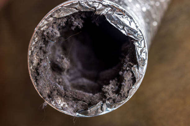 Best Best Air Duct Cleaning Company  in Severance, CO