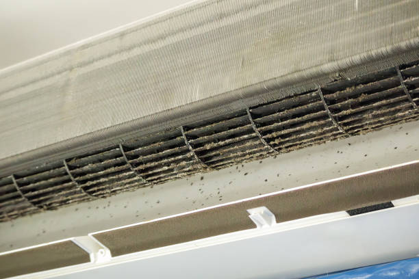 Best Best Air Duct Cleaning Near Me  in Severance, CO
